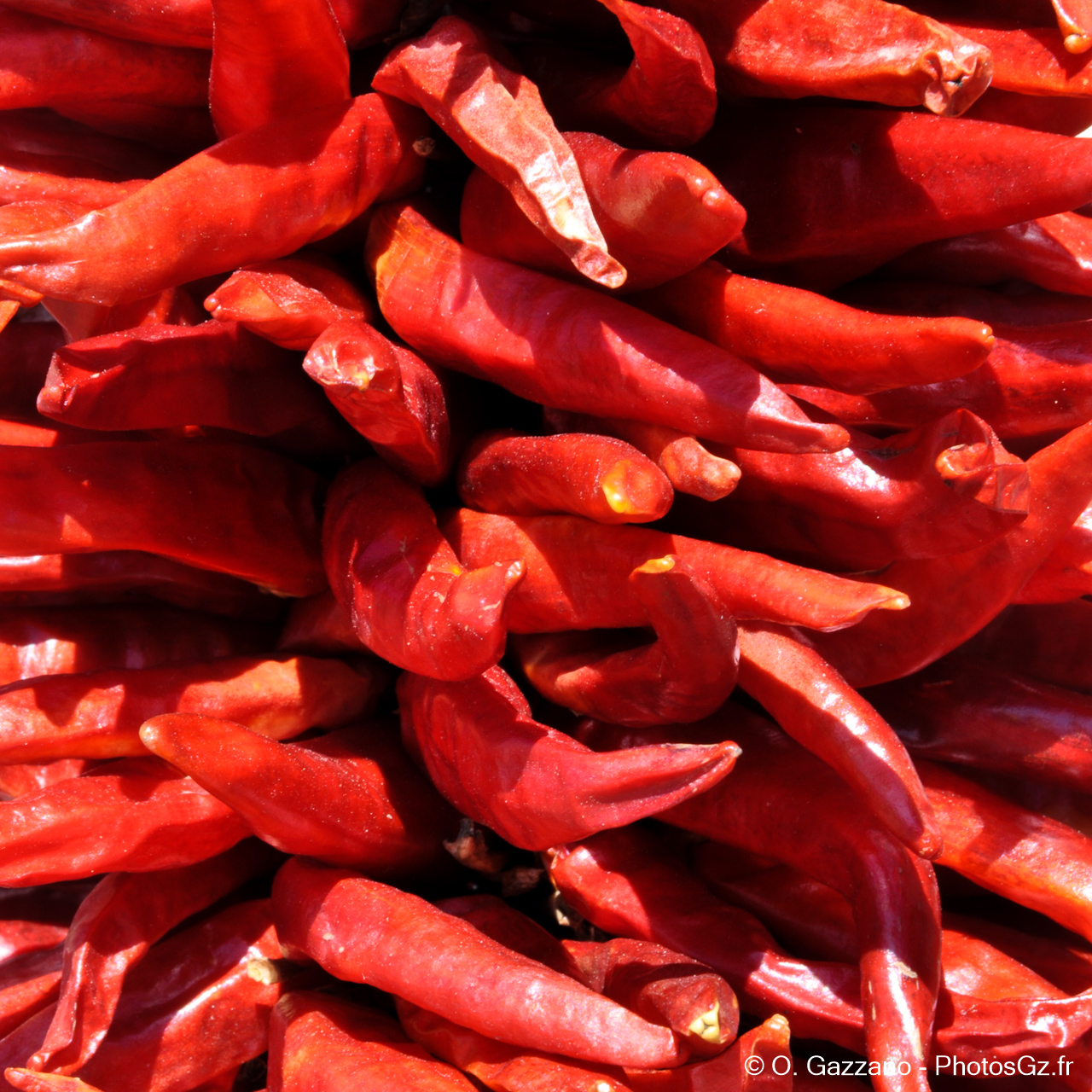 Piments rouges en train de sécher au soleil / Santa Fé